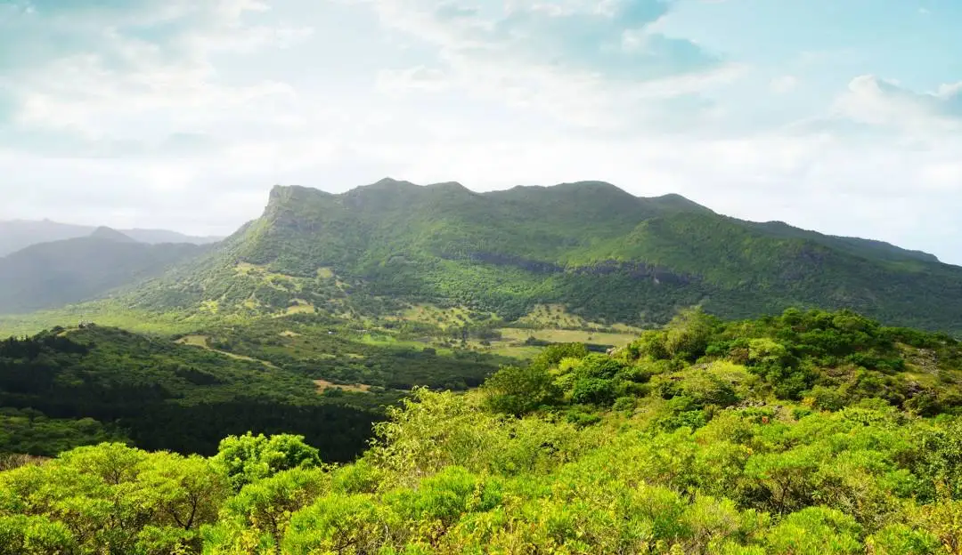 Petite Rivière Noire