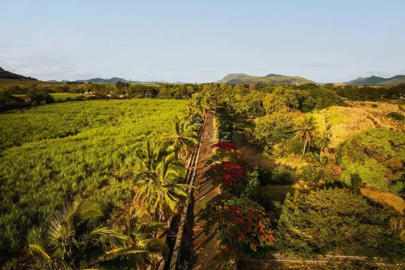 Villa au coeur d’une nature verdoyante