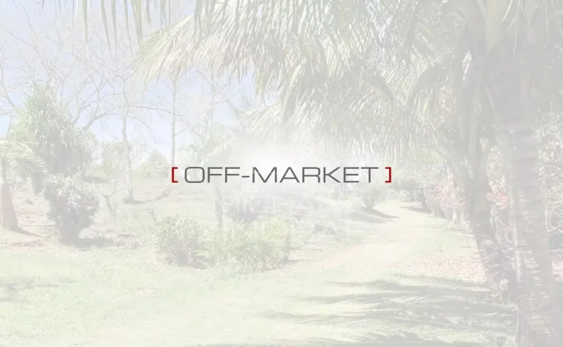 Luxuriöse Villa mit 4 Schlafzimmern - Mont Mascal