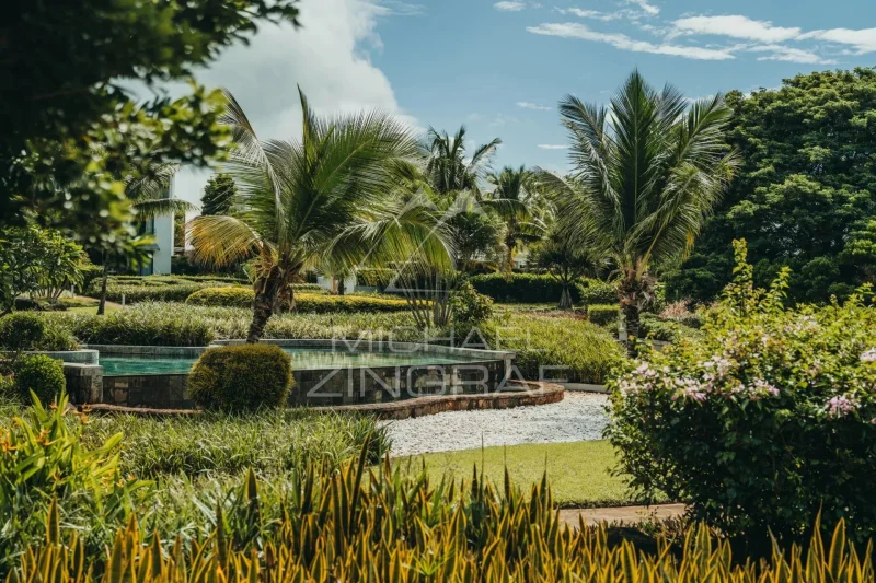Investissez dans le Lifestyle Exclusif d’Azuri